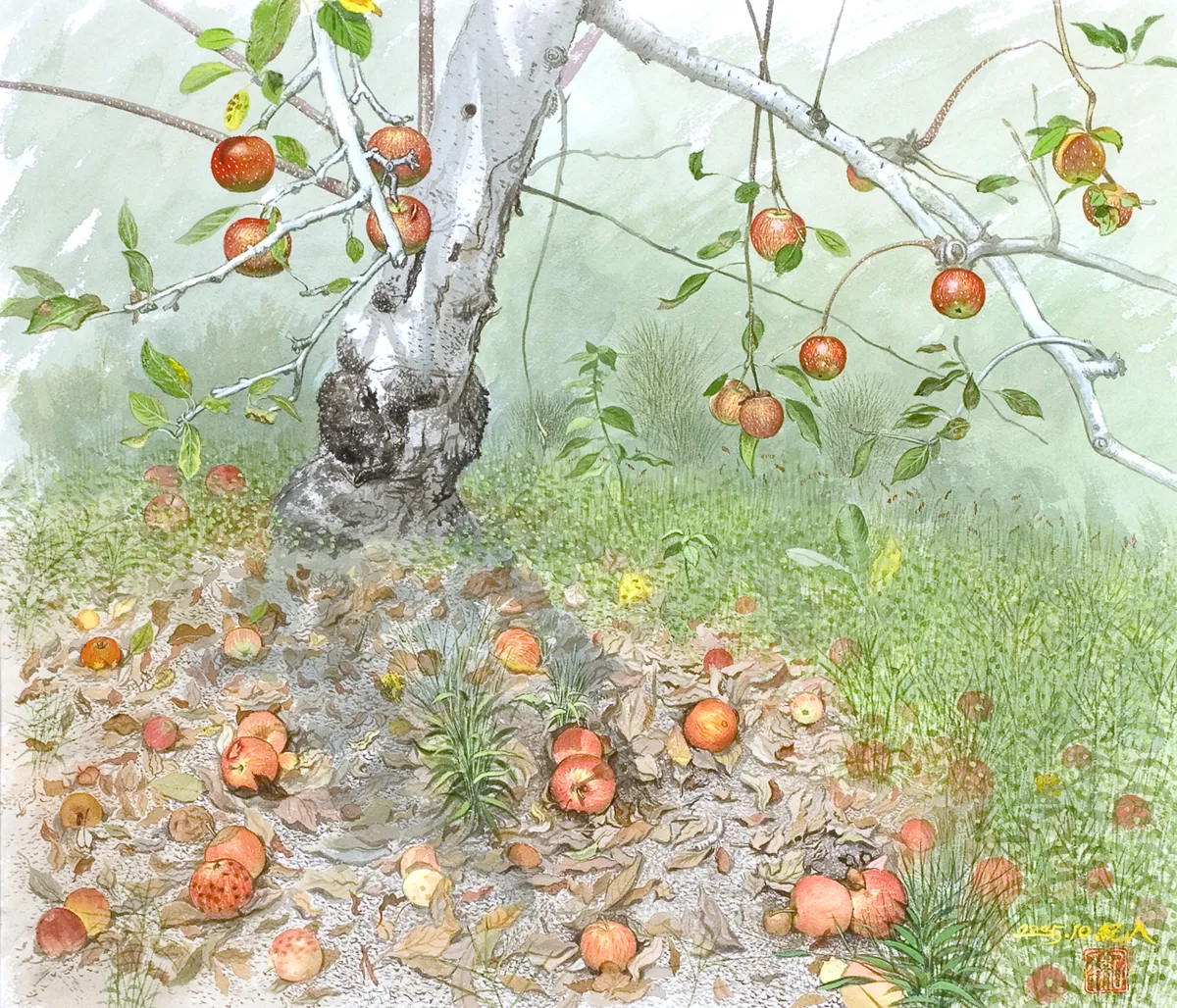 作品名　落ちたリンゴ