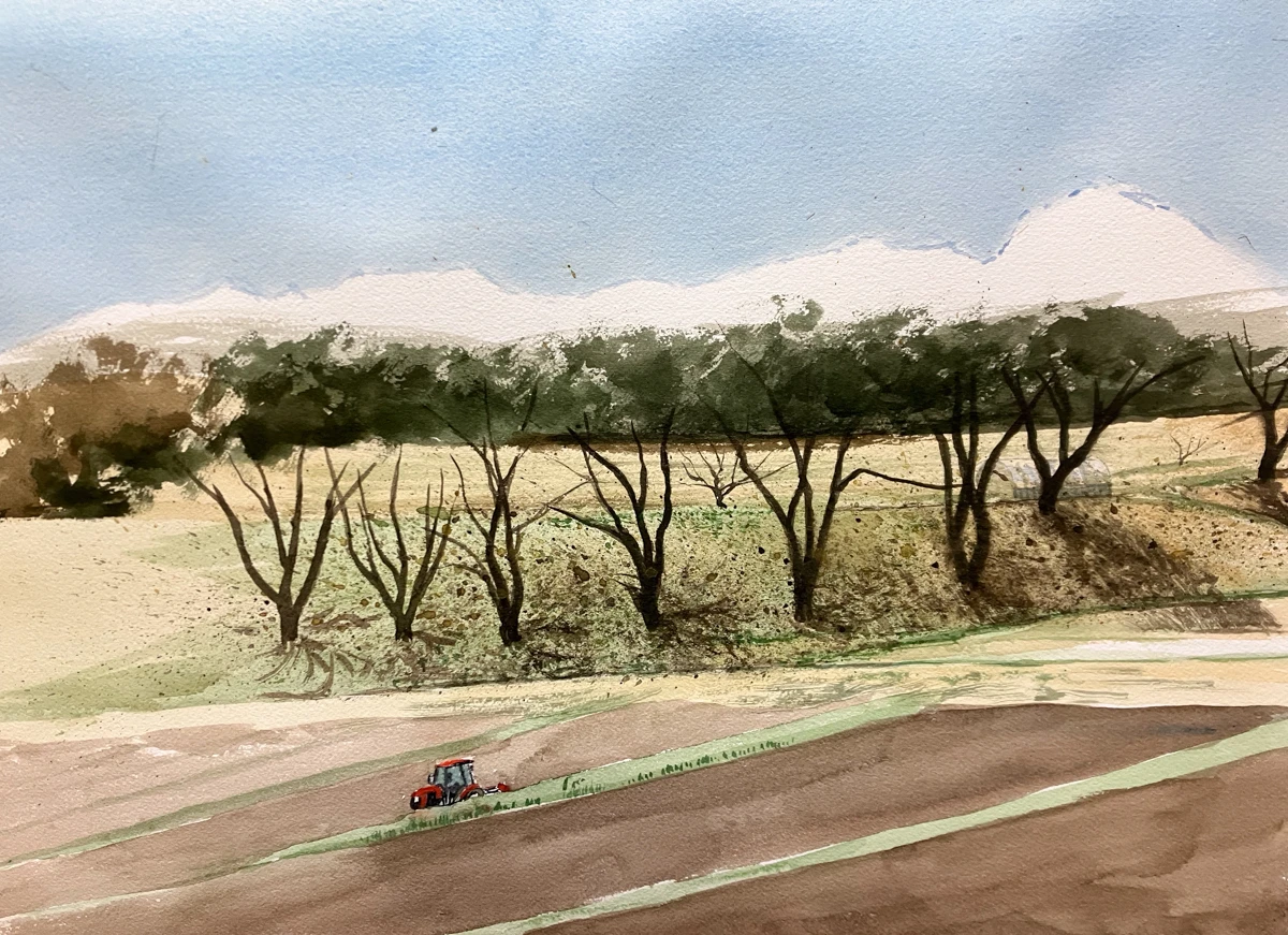 長坂町 白井沢の桜 制作過程1