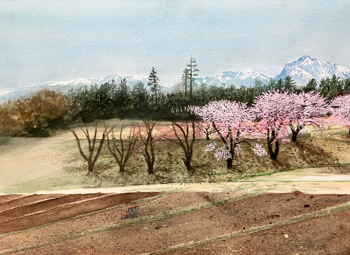 長坂町 白井沢の桜 制作過程3