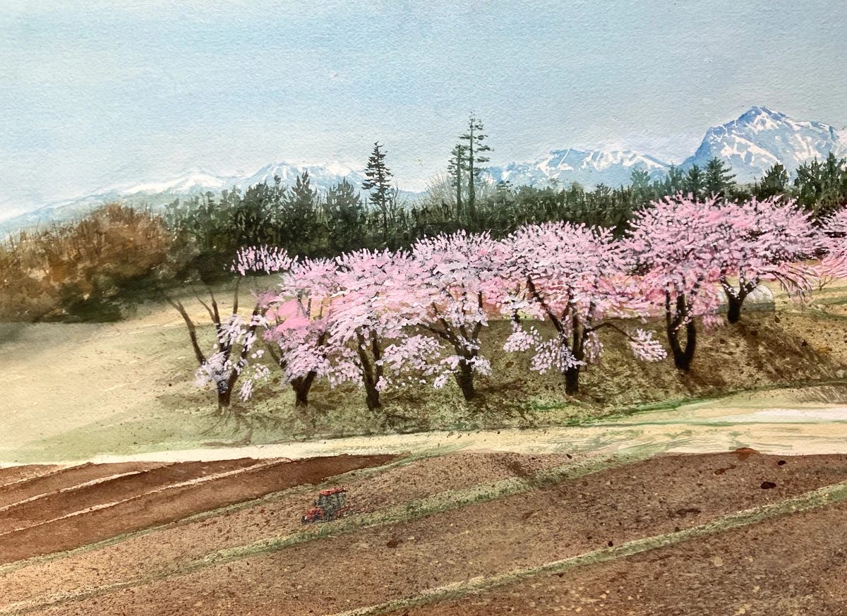 長坂町 白井沢の桜 制作過程4