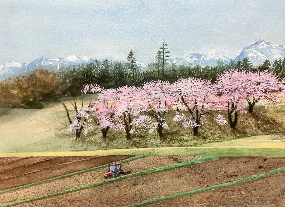 長坂町 白井沢の桜 制作過程5