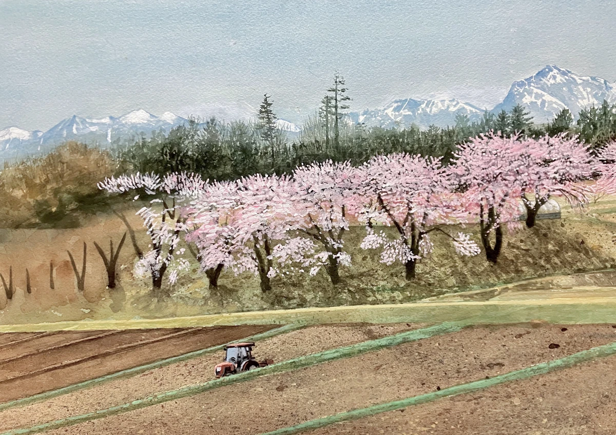 長坂町 白井沢の桜 制作過程6