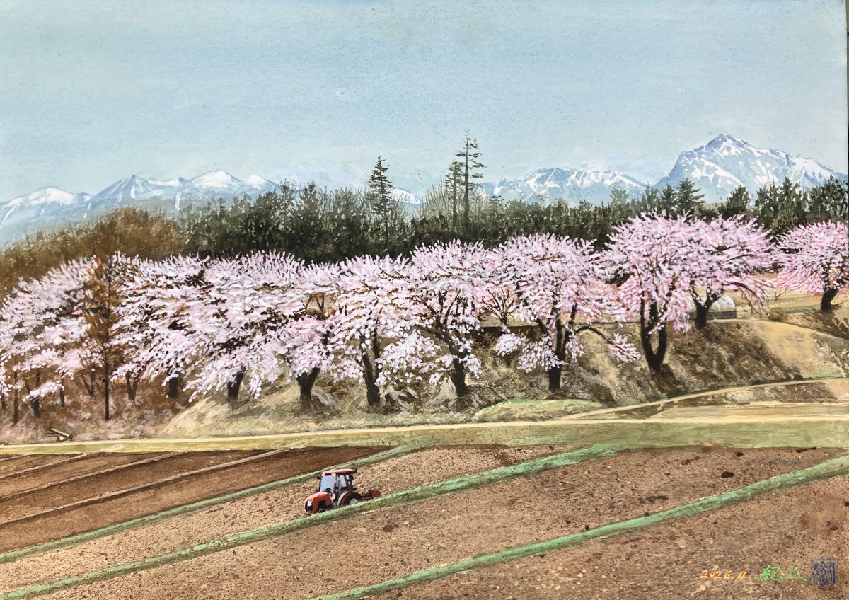 作品名　長坂町 白井沢の桜