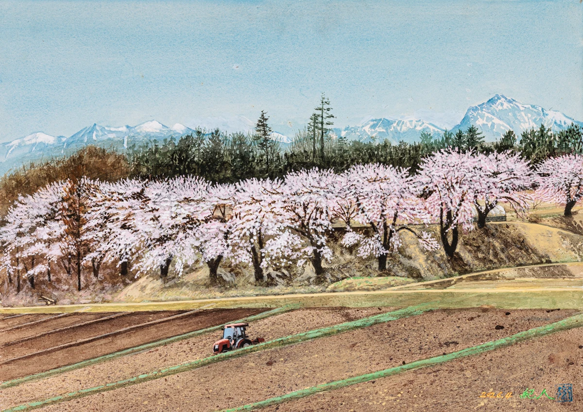 長坂町 白井沢の桜　